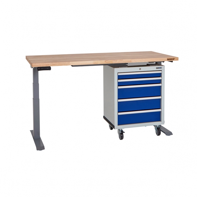 BiGDUG Electric Height Adjustable Storage Workbenches